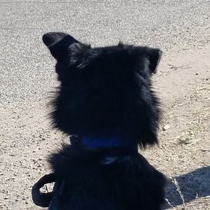 Meet your Posher, Kailee